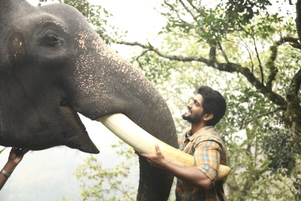கும்கி 2 – விமர்சனம்
